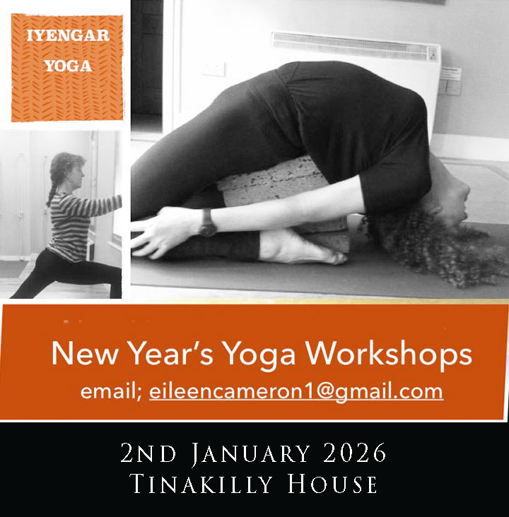 Join us for Iyengar Yoga at Tinakilly House on the 2nd January 2026